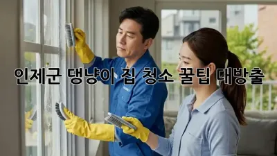 인제군 댕냥이 집 청소🧹 꿀팁 대방출!